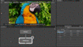 Thumbnail for version as of 16:53, 11 August 2024